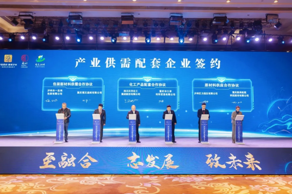 集團(tuán)參加瀘永江產(chǎn)業(yè)協(xié)作推介會